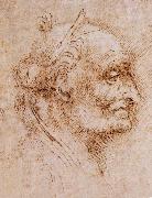 LEONARDO da Vinci Aurelio Luini attributed, profile of an old man painting